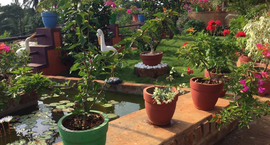 Coorg B S Homestay, Coorg 3